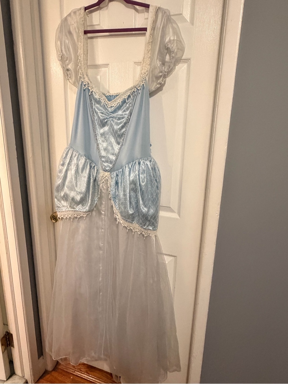 Light Blue and White Puffy Sleeve Cinderella-Style Adult Dress